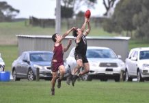 Magpies weather storm to down Murphies