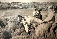 Pony riders of Beachport