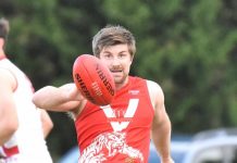 Tigers pounce on Hawks
