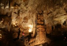 Tantanoola Caves recognition for impressive display
