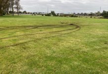 Damage in the Domain