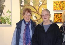 Local artists put nature on display