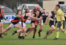 Saints likely to bounce back