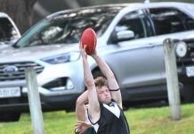 Magpies swoop on Mozzies