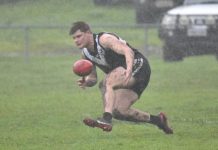 Magpies put on a clinic