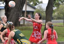 Tigers seal important win