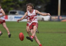 Roosters in the box seat