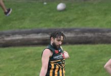 Hawks stung by Mozzies