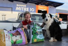 Seed of inspiration grows