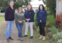 Interest expressed in executive positions