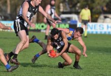 Heavyweights on show at Hatherleigh