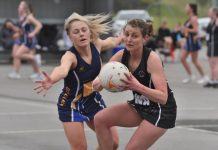 Mgpies flex their muscles