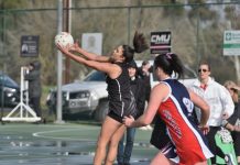 Pies too hot for Dees