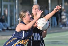 Tight contests expected