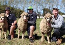 Agriculture program sets students up for future