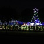 christmas_313664_02.JPG
