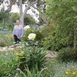 gardencomp_372839_03.JPG