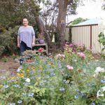 gardencomp_372839_04.JPG