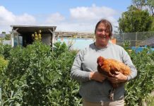 Where is Cookie the chooky?