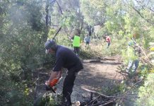 Clean up underway at local lake