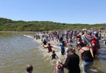 Ducks in a row for weekend fun