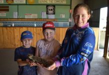 Packed program for children underway