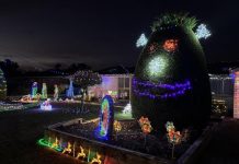 Light display spectacular for Christmas