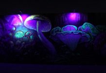 Mushroom mural lights up