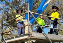 Volunteers step up to the challenge