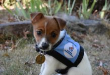 Sweet Sherbet’s goal to open doors