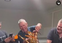 Giant cray becomes a ‘lobstar’