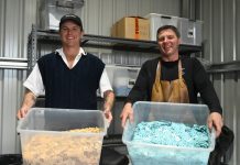 Cricket legend joins the fight for sustainability