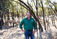 Coalition, Greens and independents unite behind farmers: NFF