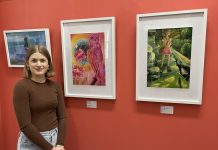 Emerging Artist in Naracoorte Gallery