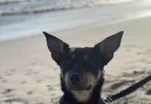 Weekend away ends in sadness