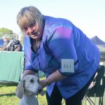 dogfest_398709_02.jpg