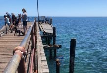Council considers jetty funding