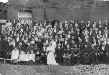 Answers found for century long mystery