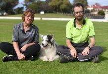 Tougher penalties for dog attacks