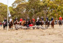 Penola Hunt Club hosts state hunt