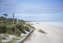 Beach speed limits to remain