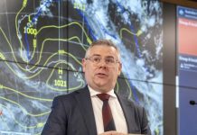 $5m national open call for forest research