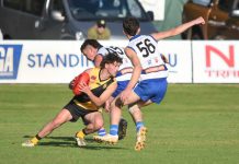 Cats produce another scare