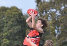 Young stars shine for MSE