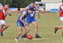 Mixed bag for senior footballers