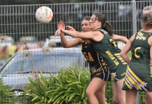 A welcome addition to the Mozzies