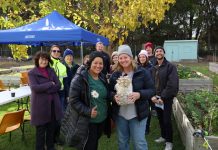 Sustainability rearranges the weekend