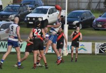 Bulldogs still without a win