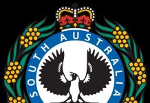 Car collides with stobie pole