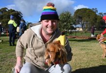Hounds gather for A Dog’s Breakfast